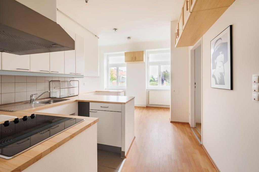 Beautiful 1 Bedroom Apartment Near Schoenbrunn Вена Экстерьер фото